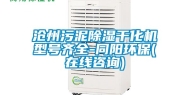 沧州污泥除湿干化机型号齐全-同阳环保(在线咨询)