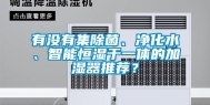 有没有集除菌、净化水、智能恒湿于一体的加湿器推荐？