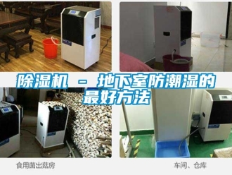 企业新闻除湿机 - 地下室防潮湿的最好方法