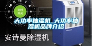 大功率抽湿机_大功率抽湿机品牌介绍