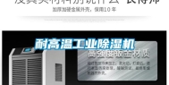 耐高温工业除湿机