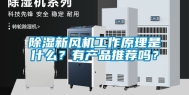 除湿新风机工作原理是什么？有产品推荐吗？