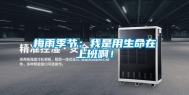 梅雨季节：我是用生命在上班啊！