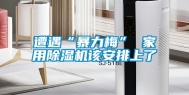 遭遇“暴力梅” 家用除湿机该安排上了