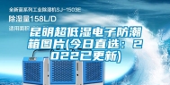 昆明超低湿电子防潮箱图片(今日直选：2022已更新)