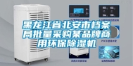 黑龙江省北安市档案局批量采购某品牌商用环保除湿机