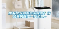 地下室太潮湿怎么除湿？安装新风除湿一体机呗~