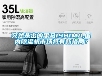 行业新闻突然杀出的黑马ISHIMA,国内除湿机市场将有新格局？