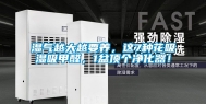 湿气越大越要养，这7种花吸湿吸甲醛，1盆顶个净化器！