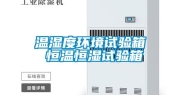 温湿度环境试验箱 恒温恒湿试验箱