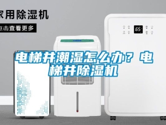 行业新闻电梯井潮湿怎么办？电梯井除湿机