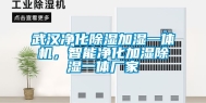 武汉净化除湿加湿一体机，智能净化加湿除湿一体厂家