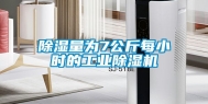 除湿量为7公斤每小时的工业除湿机