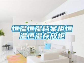 知识百科恒温恒湿档案柜恒温恒湿存放柜
