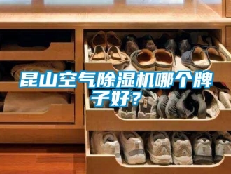 行业新闻昆山空气除湿机哪个牌子好？