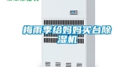 梅雨季给妈妈买台除湿机