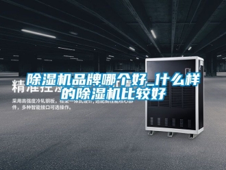企业新闻除湿机品牌哪个好_什么样的除湿机比较好