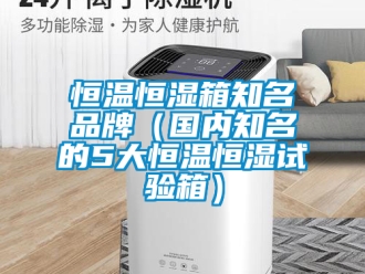 知识百科恒温恒湿箱知名品牌（国内知名的5大恒温恒湿试验箱）