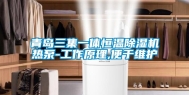 青岛三集一体恒温除湿机热泵-工作原理,便于维护