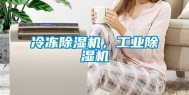 冷冻除湿机，工业除湿机