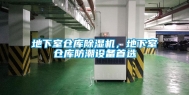 地下室仓库除湿机，地下室仓库防潮设备首选