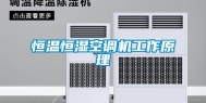 恒温恒湿空调机工作原理