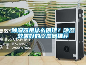 行业新闻除湿器是什么原理？除湿效果好的除湿器推荐