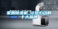 家用除湿机_让您心动的十大品牌