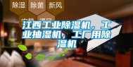 江西工业除湿机，工业抽湿机，工厂用除湿机