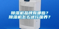 除湿机品牌有哪些？除湿机怎么进行保养？