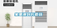 家里潮到长蘑菇