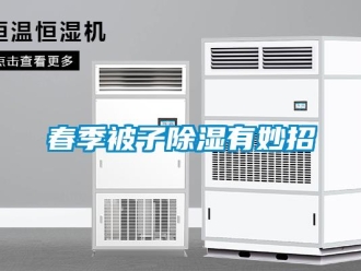 企业新闻春季被子除湿有妙招