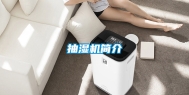 抽湿机简介