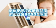 贵州安顺冷库低温除湿机工业级9240C除湿机