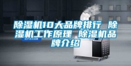 除湿机10大品牌排行 除湿机工作原理 除湿机品牌介绍