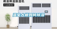 温室大棚如何除湿