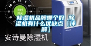 除湿机品牌哪个好 除湿机有什么优缺点【详解】