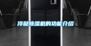 冷凝除湿机的功能介绍