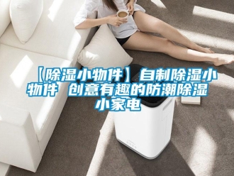 常见问题【除湿小物件】自制除湿小物件 创意有趣的防潮除湿小家电