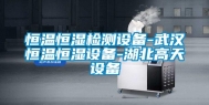 恒温恒湿检测设备-武汉恒温恒湿设备-湖北高天设备