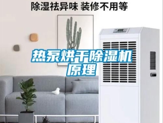 行业新闻热泵烘干除湿机原理