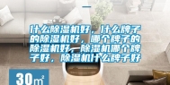 什么除湿机好，什么牌子的除湿机好，哪个牌子的除湿机好，除湿机哪个牌子好，除湿机什么牌子好