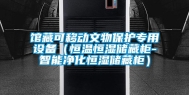 馆藏可移动文物保护专用设备（恒温恒湿储藏柜-智能净化恒湿储藏柜）