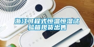 浙江可程式恒温恒湿试验箱现货出售