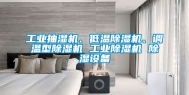工业抽湿机、低温除湿机、调温型除湿机 工业除湿机 除湿设备