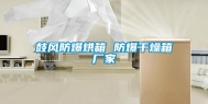 鼓风防爆烘箱 防爆干燥箱厂家