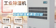 工业除湿机类型介绍