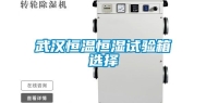 武汉恒温恒湿试验箱选择