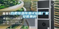 合肥恒温恒湿试验箱厂家安徽奥科
