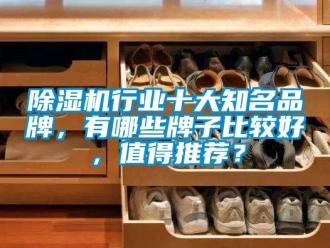 企业新闻除湿机行业十大知名品牌，有哪些牌子比较好，值得推荐？